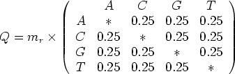 \begin{table}{\large\begin{displaymath}
Q = m_r \times \left(
\begin{array}{cccc...
...
T & 0.25 & 0.25 & 0.25 & * \\
\end{array}\right)
\end{displaymath}}\end{table}